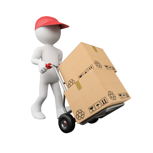 Domestic Shifting